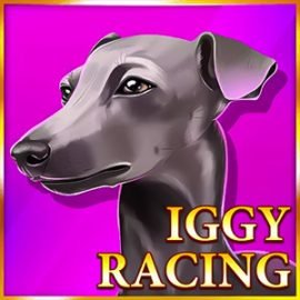 Iggy Racing